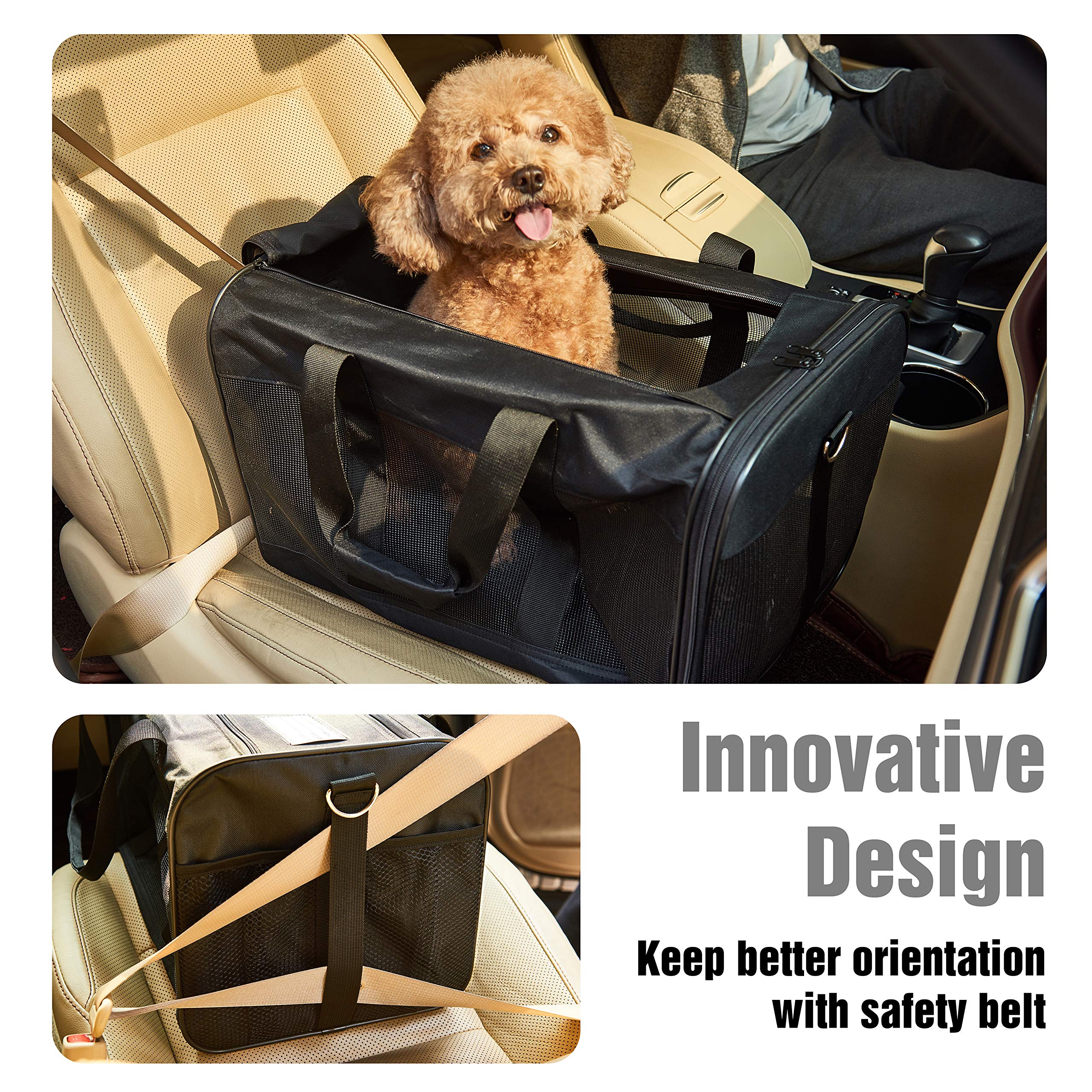Soft-Sided Collapsible Pet Travel Carrier for Cats & Small Dogs - Airline Approved, Durable & Portable (Medium, Up to 17 lbs) - Perfect for Air Travel, Road Trips & Vet Visits