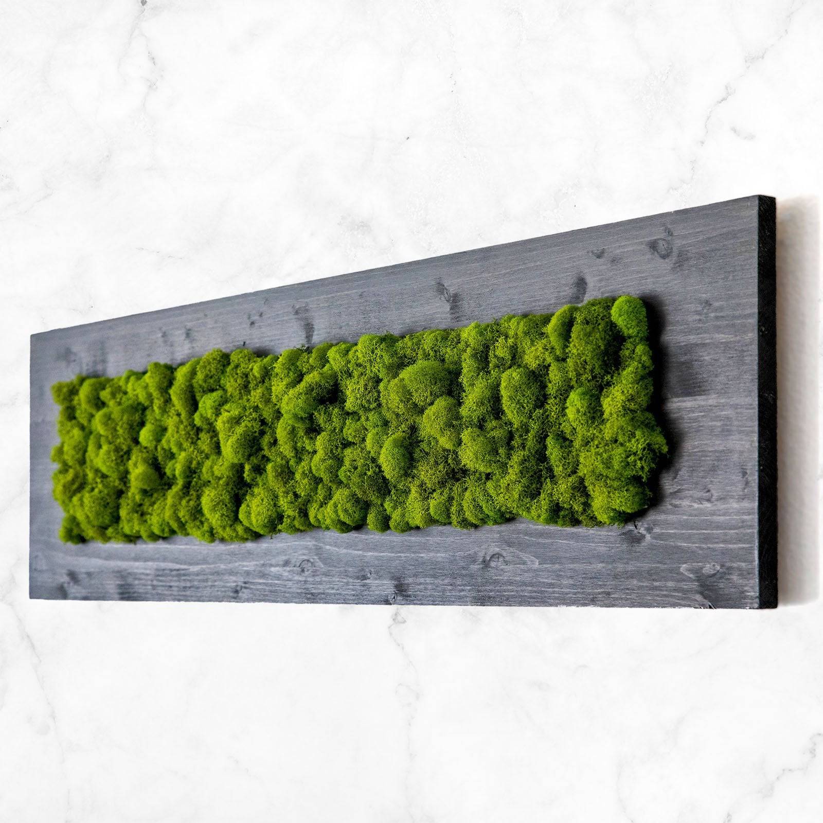 Handmade Moss Wall Art - Natural Wood Framed Botanical Decor for Home & Office - Perfect for Living Room, Bedroom, or Indoor Garden Décor