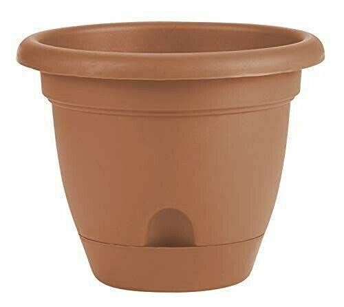 AWED Bloem LP1246 Terra Cotta Lucca Planter - 12 Inch Flower Pot for Indoor Plants | Decorative Planters for Home, Office, Living Room & Garden Decor