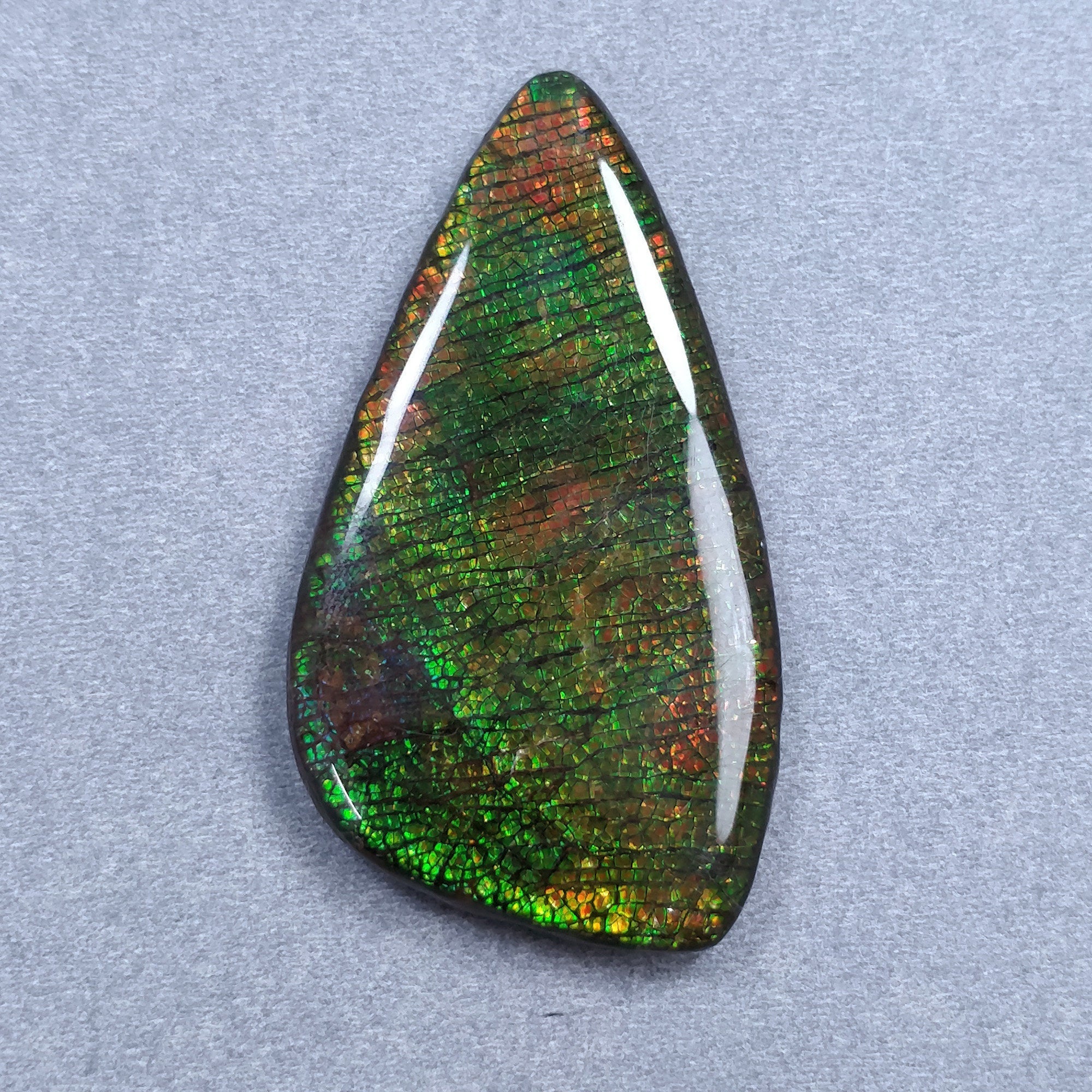 Natural Ammolite Gemstone Cabochon - 105.45cts Bi-Color Fossilized Shell Cabochon 59x32mm (Video Included) | Jewelry Making, Collectibles & Healing Crystals