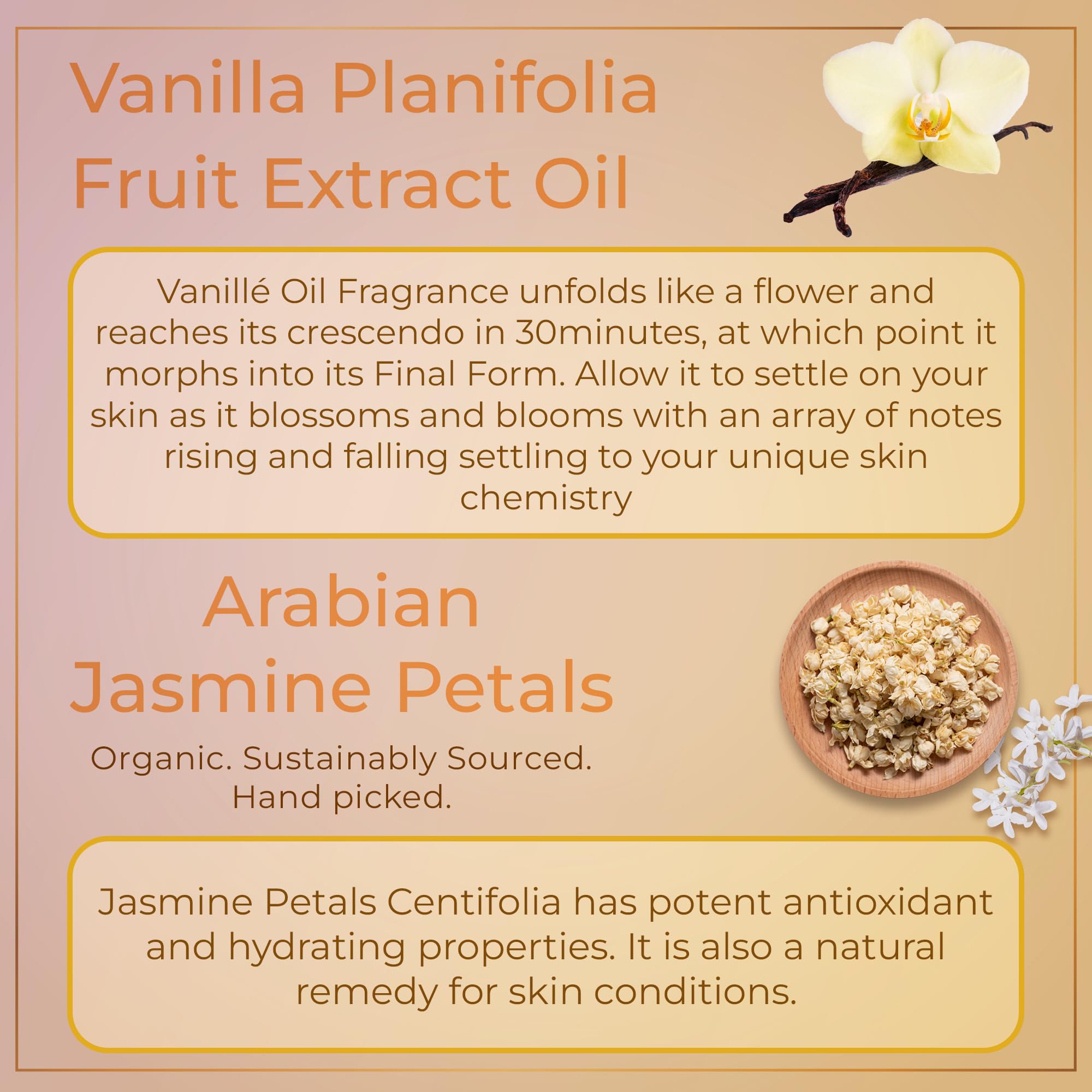 LaVanillé - Pure Vanilla & Lavender Essential Oil for Skin Care, Facial Treatment, Hair Growth, Nail Health & Aromatherapy | Natural Moisturizer & Relaxing Scent for Spa, Massage & Home Diffuser