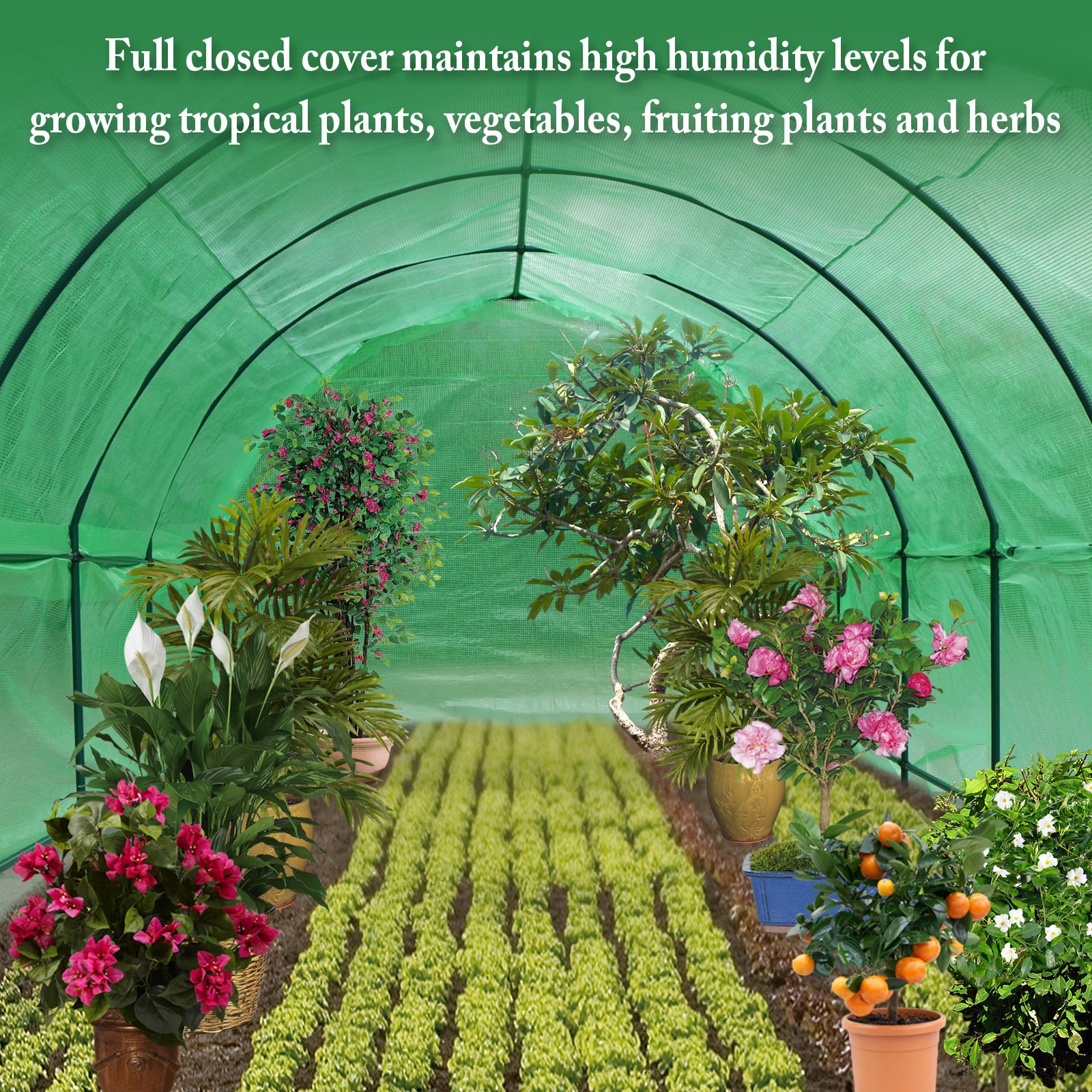 BenefitUSA Large 20'x10'x7' Portable Greenhouse - Heavy Duty Walk-in Outdoor Plant Gardening Hot House with ABS Snap Clamps | Perfect for Backyard Gardening, Seed Starting & Year-Round Plant Protection