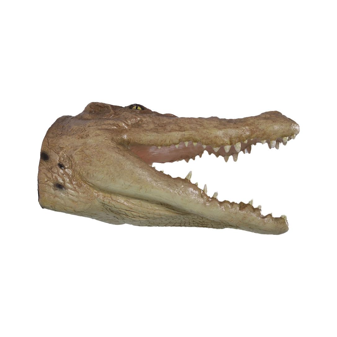 Handmade Crocodile Head Wall Decor Statue - Realistic Reptile Animal Sculpture for Home & Office Decoration | Perfect for Jungle Theme Rooms, Man Caves, and Wildlife Lover Gifts