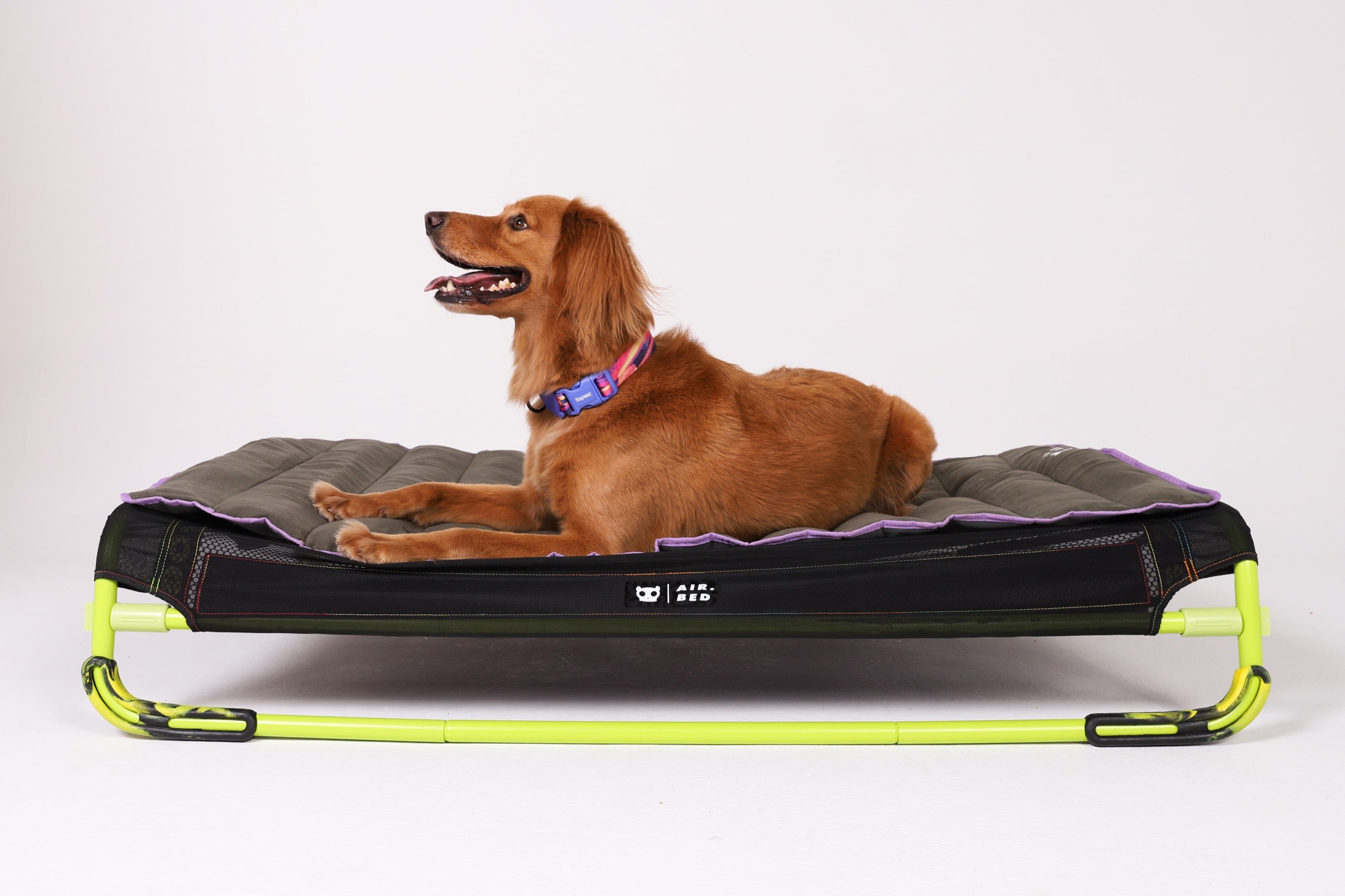 Portable Dog Air Mat Bed - Military Green | Zee.Dog - Perfect for Camping, Travel & Outdoor Adventures with Your Pet