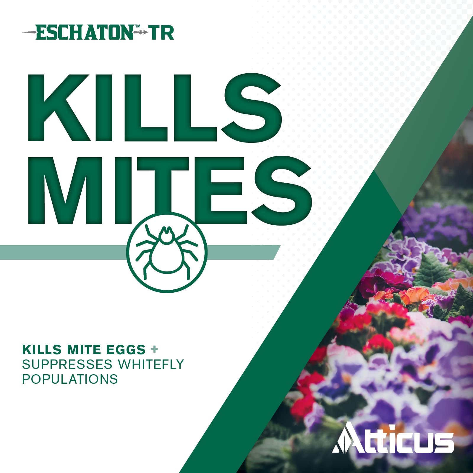 Atticus Eschaton TR Greenhouse Fogger (2oz Can) - Total Release Etoxazole Insecticide & Miticide for Mites & Whiteflies Control - 12 Pack for Greenhouse & Indoor Plant Protection