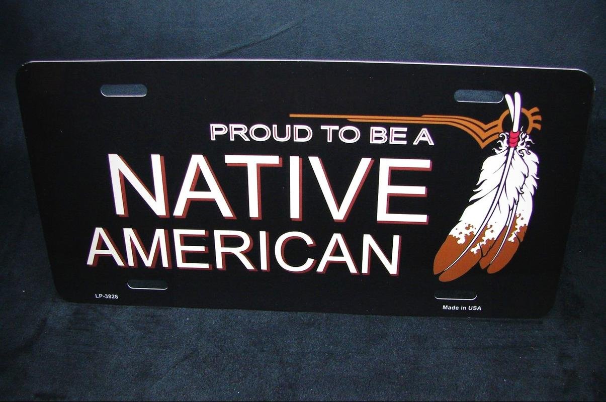 Native American Metal Novelty License Plate - Custom Car Tag for Vehicles, Home Decor, Man Cave & Garage Wall Art - Perfect for Road Trips, Gifts & Western Themed Parties