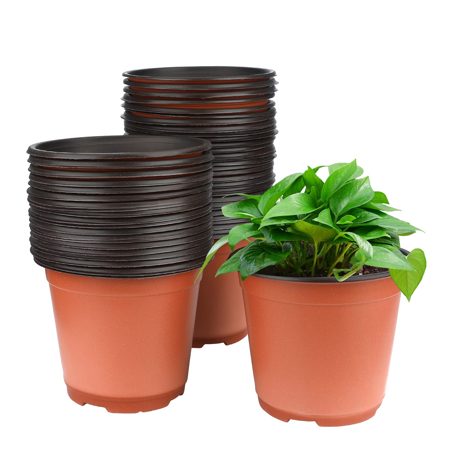 KINGLAKE 50 Pack 6 Inch Plastic Seedling Pots - Reusable Nursery Plant Containers for Flowers, Herbs, Vegetables | Indoor Gardening, Greenhouse & Outdoor Planting Starter Trays