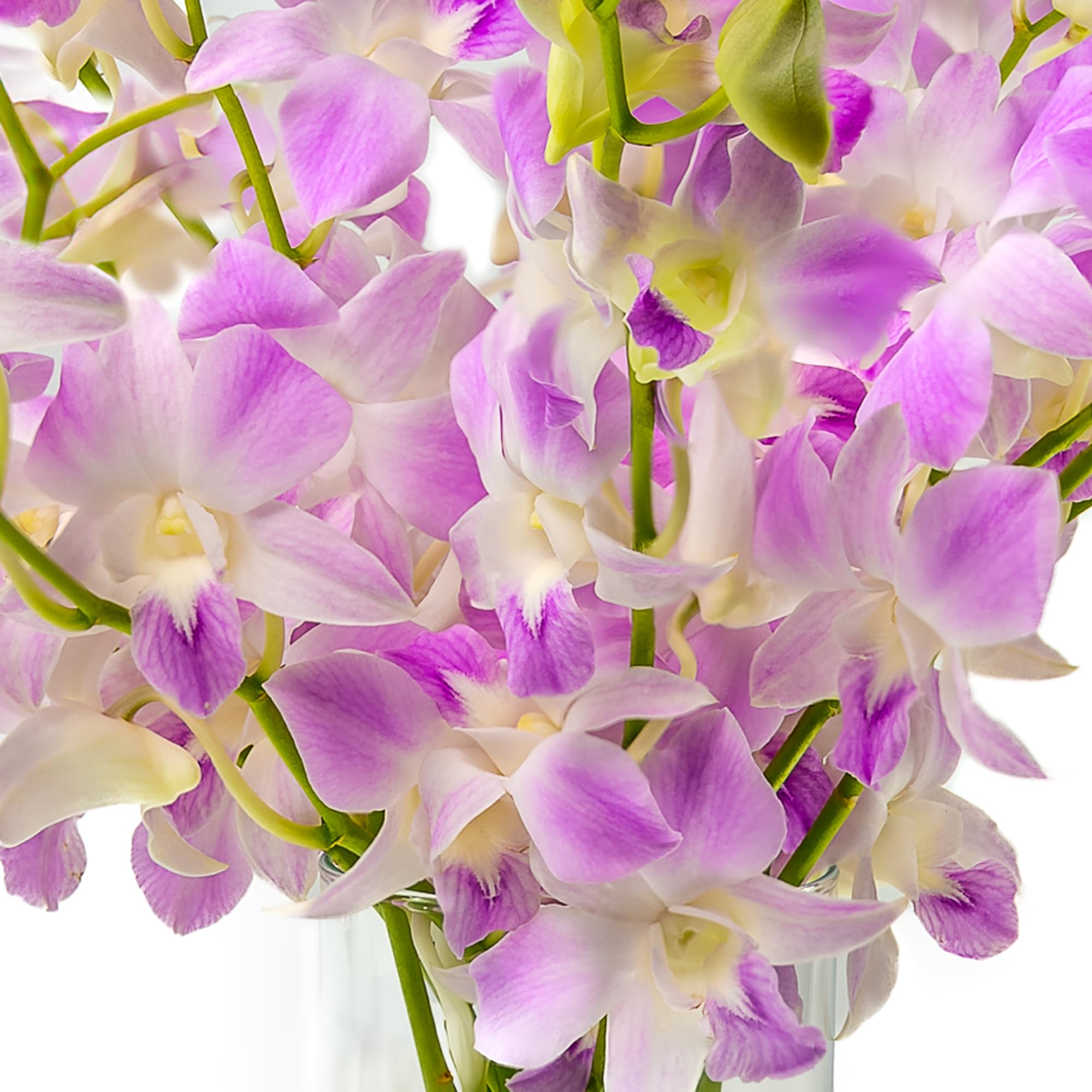Premium Lavender Orchid Bouquet - 10 Stems Fresh Artificial Flowers for Home Decor, Weddings, Mother's Day, Anniversaries & Special Occasions - High-Quality Silk Orchid Arrangement for Centerpieces, Table Decor & Gifts
