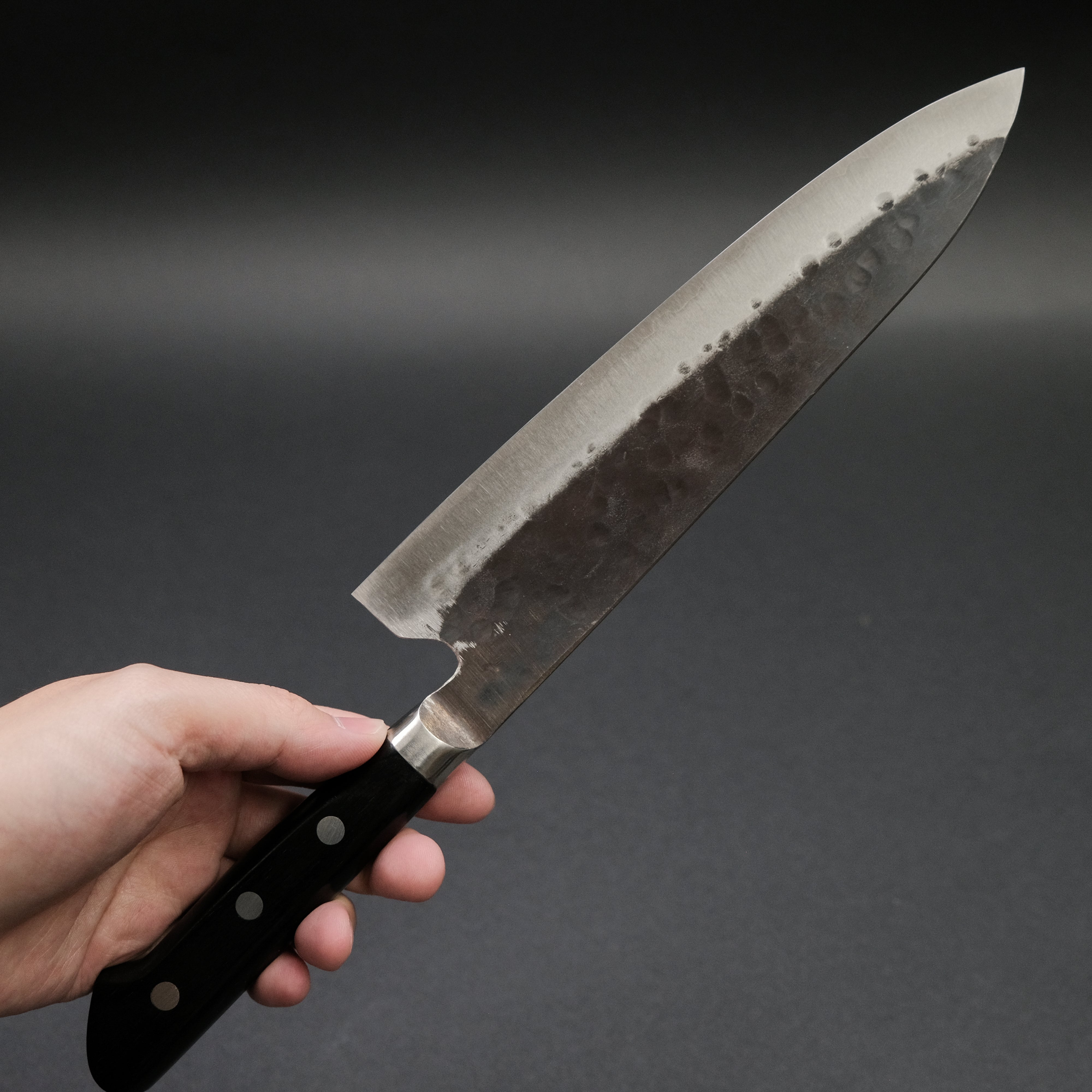 Teruyasu Fujiwara Denka Gyuto 210mm Japanese Chef Knife with Pakka Wood Handle - Professional Kitchen Knife for Sushi, Meat Cutting & Precision Cooking