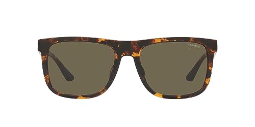 Dark Tortoise/Brown Solid