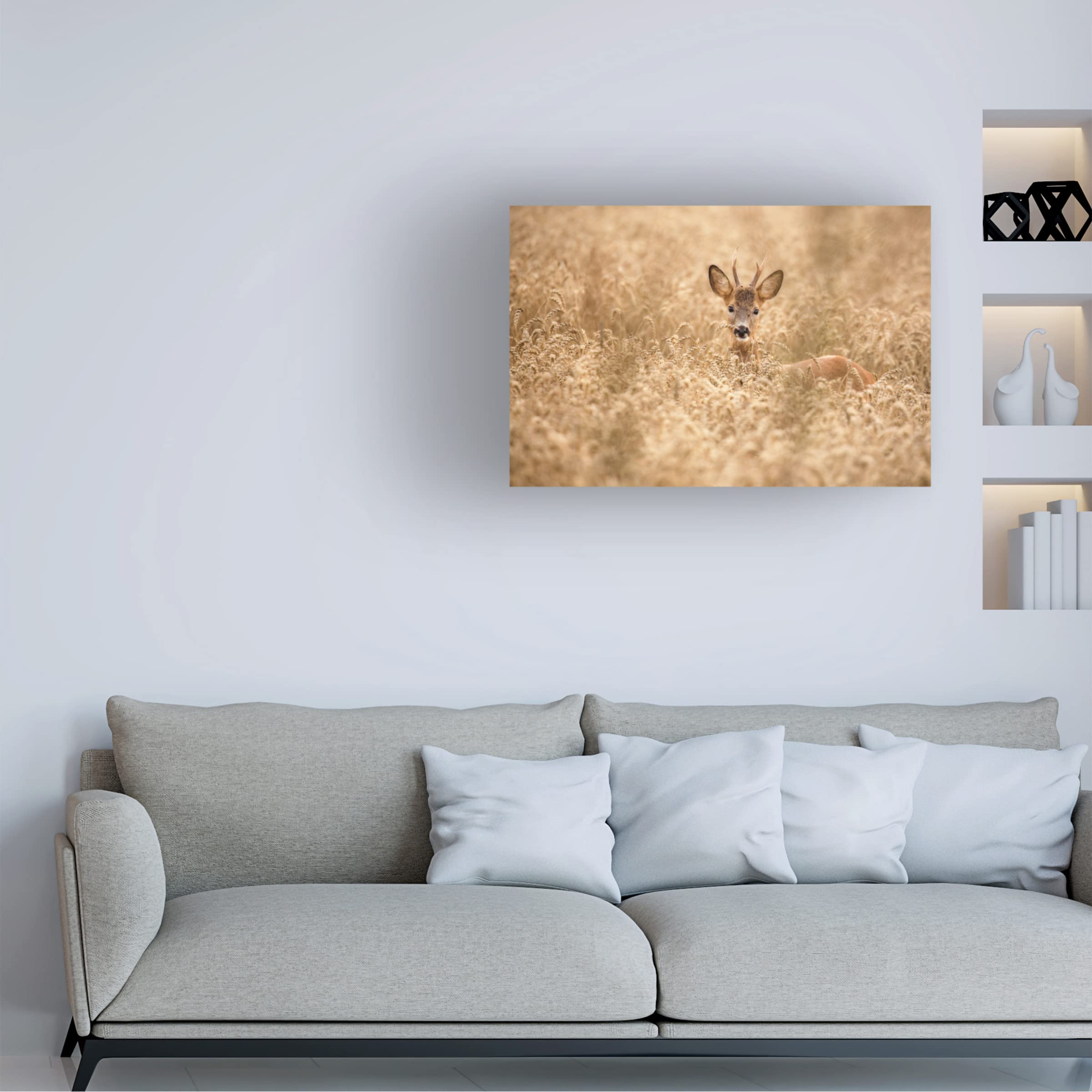 Deer In The Field Canvas Wall Art Print by Allan Wallberg - Nature Wildlife Home Decor for Living Room, Bedroom & Office