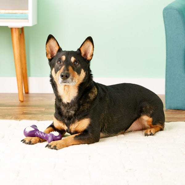 Nylabone Double Action Puppy Chew Toy for Teething - Durable Dog Bone for Small & Medium Breeds - Perfect for Puppy Training & Dental Health