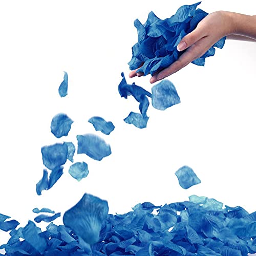 Separated_royal Blue
