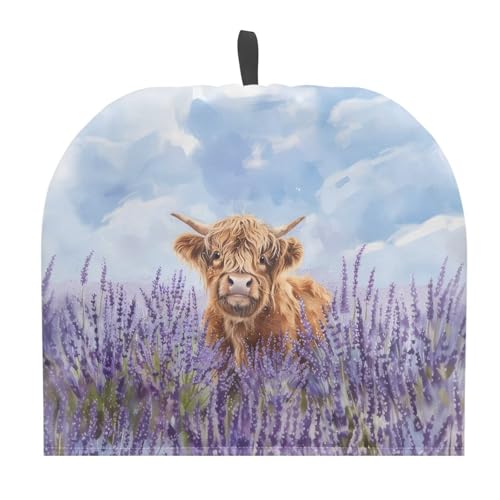 Highland Cattle