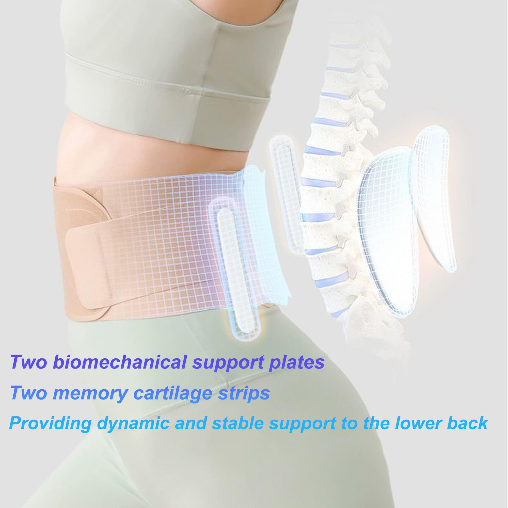 Women's Lower Back Brace for Pain Relief - Adjustable Lumbar Support with Skin-Friendly Material - Helps Herniated Disc, Sciatica & Scoliosis - Perfect for Office Work, Driving & Postpartum Recovery