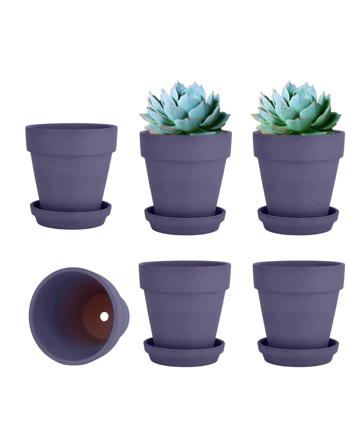 4 Inch Purple Clay Plant Pots with Saucers - 6 Pack Small Terracotta Flower Pots with Drainage Holes & Trays for Indoor Outdoor Plants | Succulents, Herbs, Cacti, Home & Garden Decor