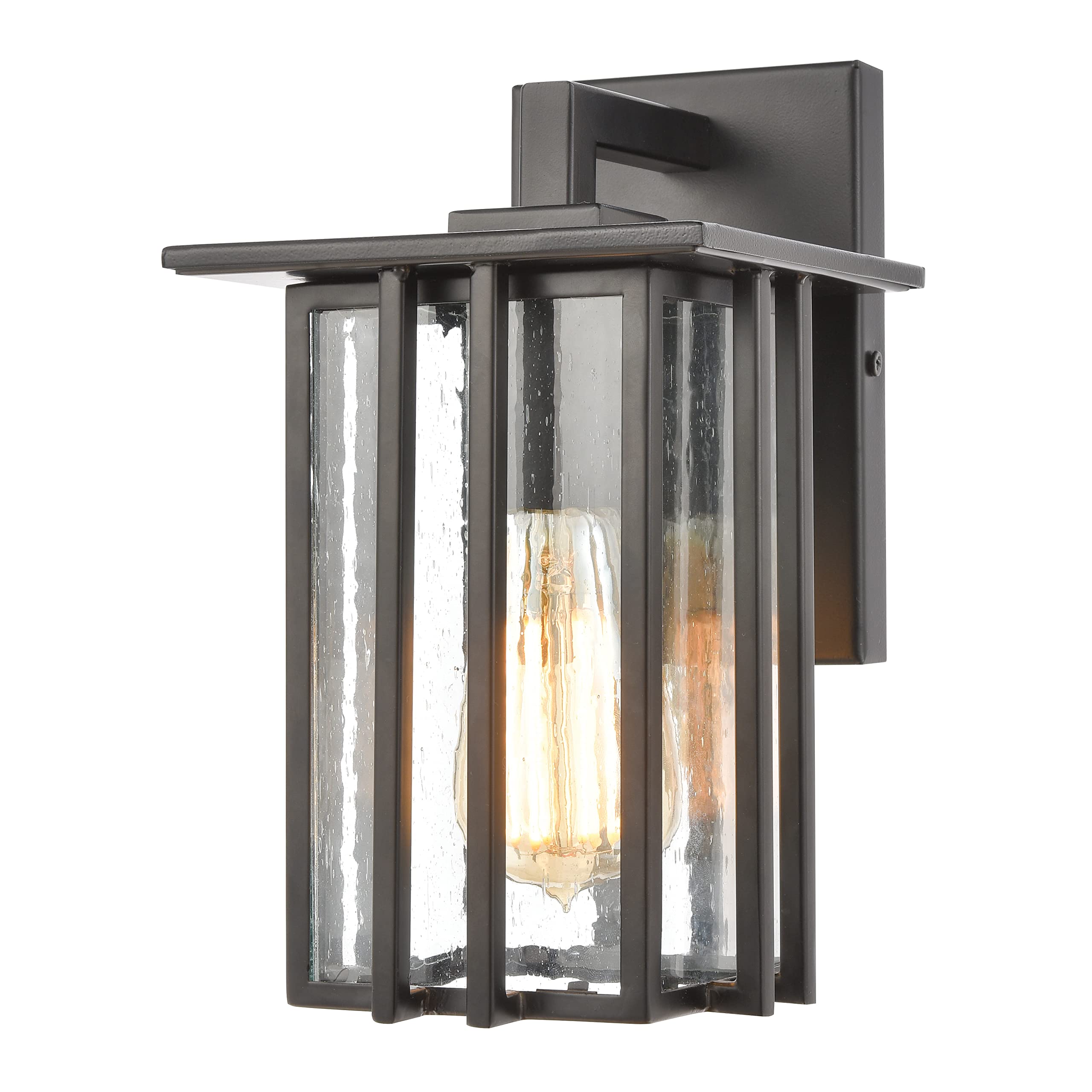 Elk Lighting Radnor 1-Light Wall Sconce in Matte Black with Seedy Glass Shade - Perfect for Bedroom, Hallway, and Entryway Lighting