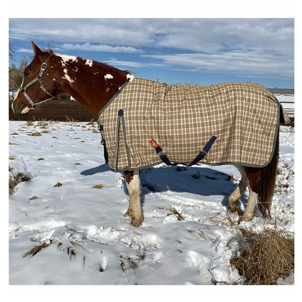 5/A Baker Medium Weight Turnout Blanket 200g - Waterproof Horse Blanket for Winter & Fall - Ideal for Stable, Pasture & Riding Protection