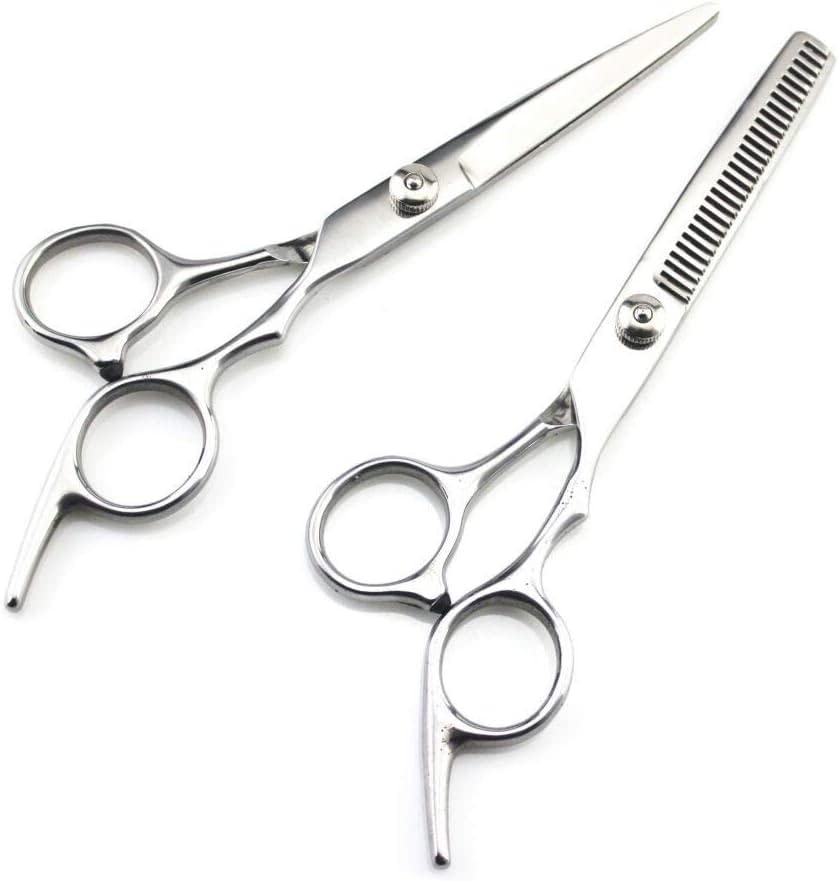 6 Inch Professional Hairdressing Scissors Set - Sharp Stainless Steel Barber Shears for Precision Hair Cutting - Silver (Great for Salon, Home Haircuts & Styling)