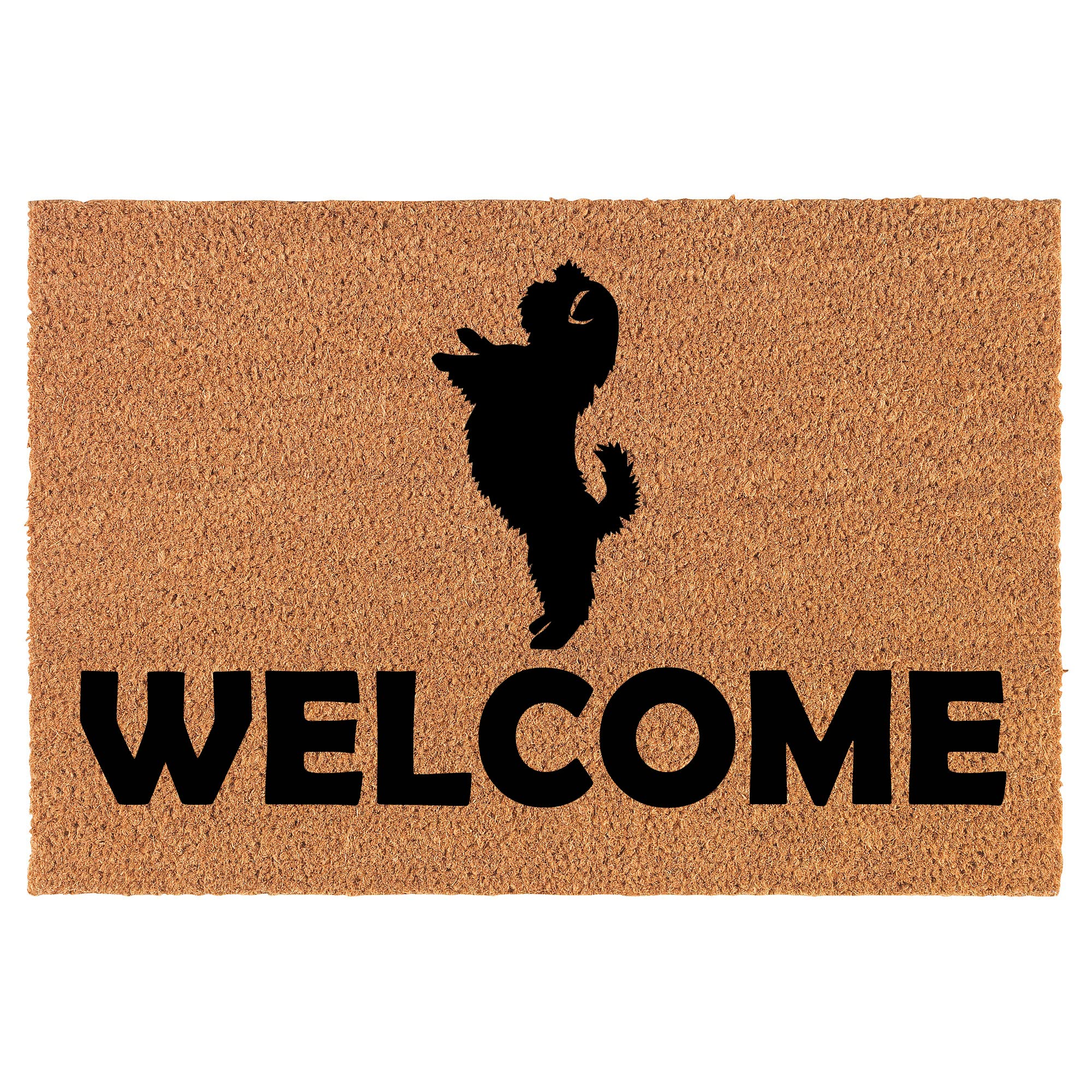 Premium Coir Doormat for Front Door - 30
