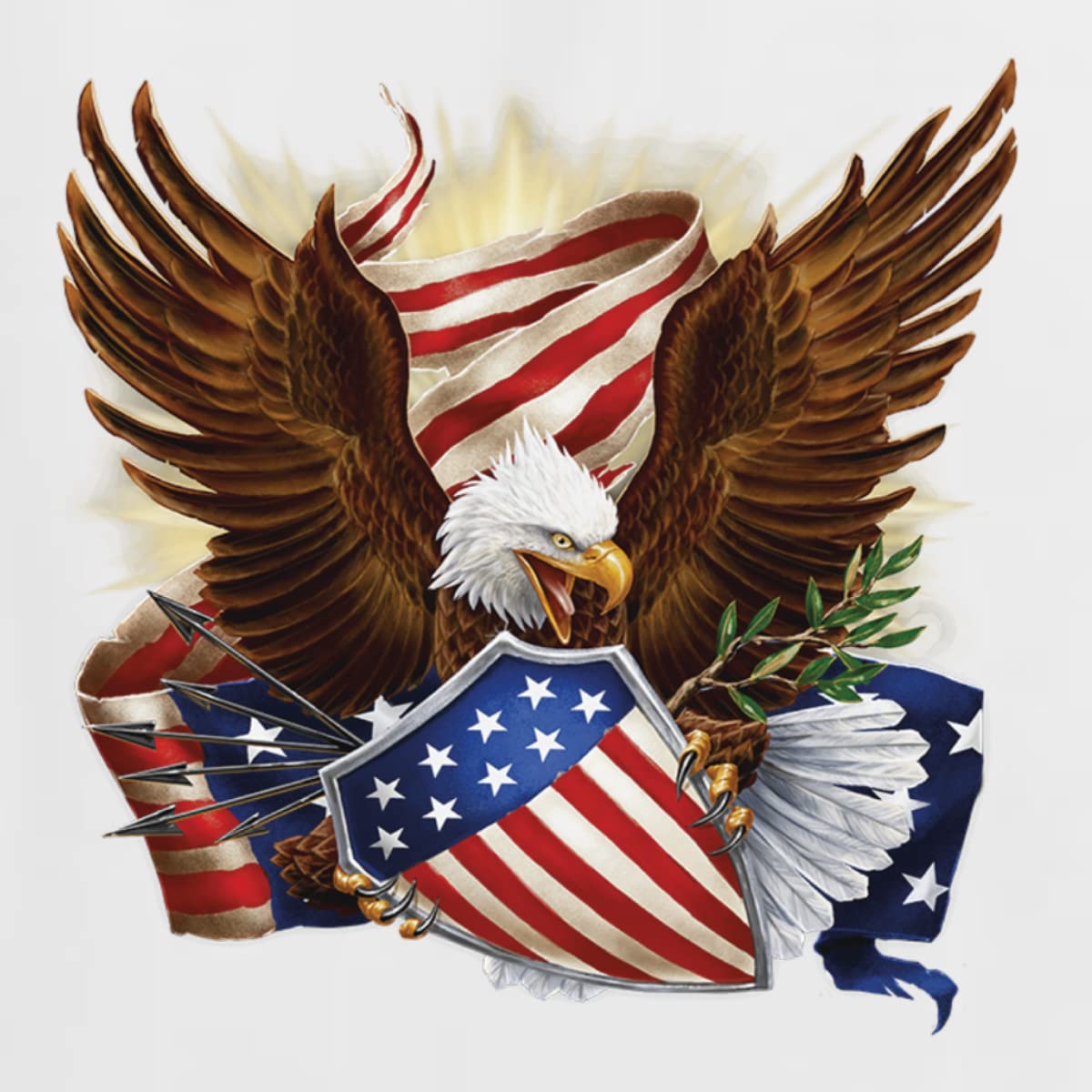 Wild Bobby Eagle American Flag Graphic Sweatshirt - USA Patriotic Unisex Crewneck Pullover | Perfect for 4th of July, Veterans Day & Patriotic Events