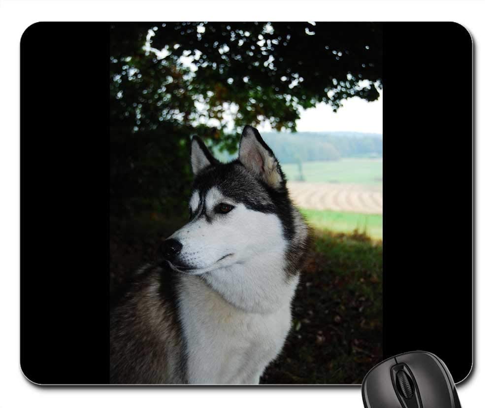 Premium Gaming Mouse Pad with Husky Dog Design - Non-Slip Rubber Base, Smooth Surface for PC/Laptop - Perfect for Gaming, Office Work & Home Use