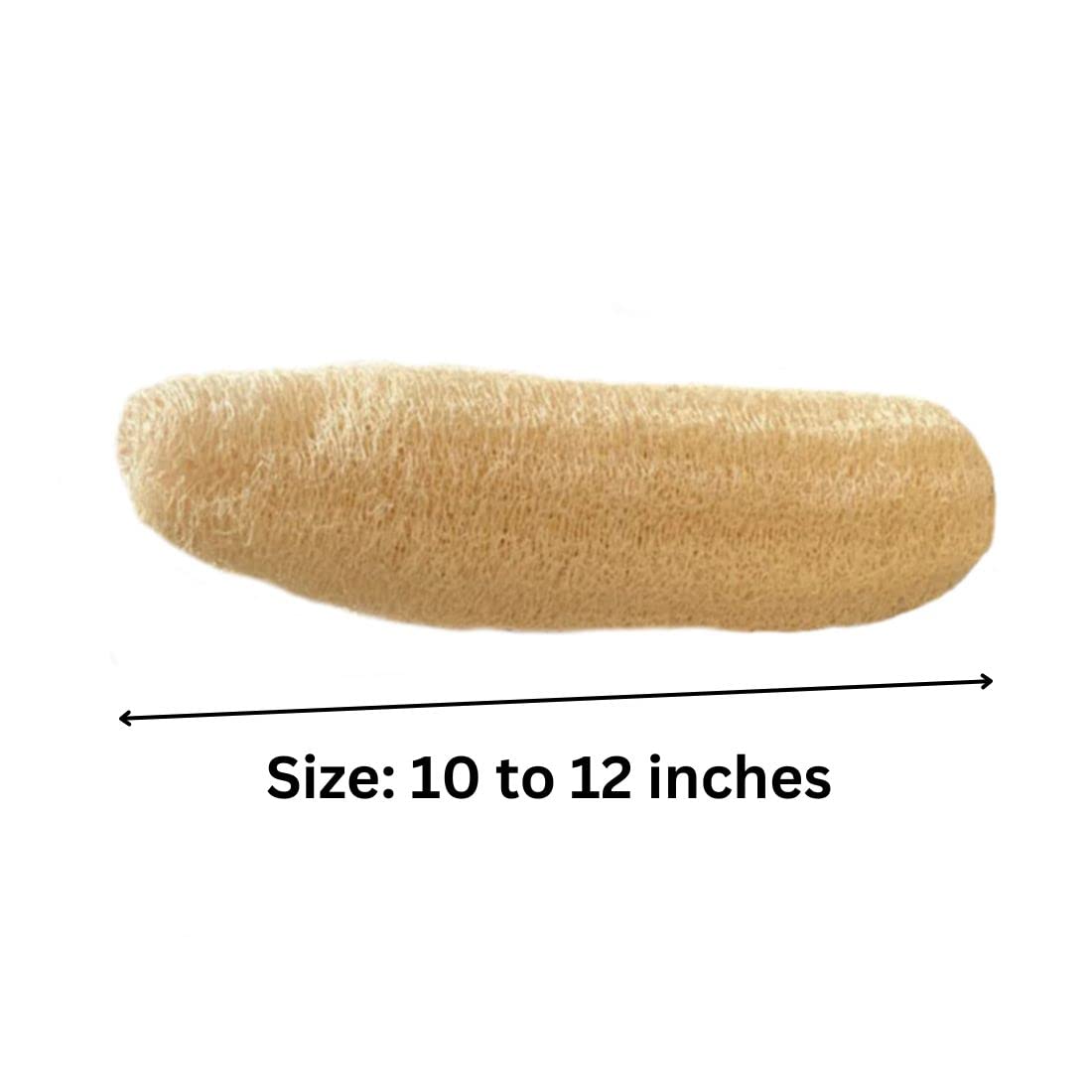 Organic Loofah Sponge for Exfoliating & Showering - 100% Natural Body Scrubber, Bath Sponge for Men & Women, 10-12 Inch (Pack of 2) - Perfect for Spa, Home Bath & Gentle Skin Care
