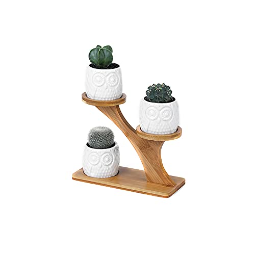 Kipokalor 3-Piece White Ceramic Owl Succulent Planter Set with 3-Tier Bamboo Saucer Stand - Modern Office Desk Decor, Home Balcony & Indoor Plant Display - Perfect for Small Cacti, Air Plants & Decorative Flowers