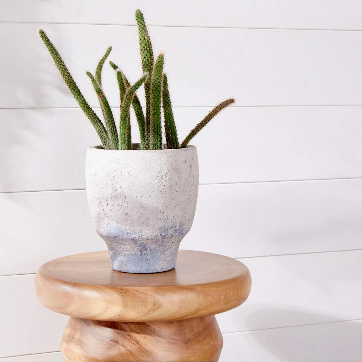 Cyan Design Small Venice Vases & Planters - Elegant Ceramic Flower Pots for Home Decor, Table Centerpiece, Wedding & Office Desk Decorations
