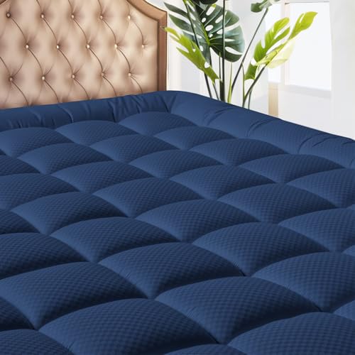 Navy Blue - Checkered