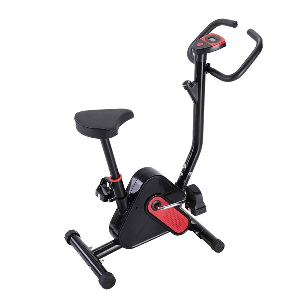 Ultra-Quiet Indoor Exercise Bike - Home Fitness Equipment for Cardio Workouts | Perfect for Small Spaces & Home Gyms