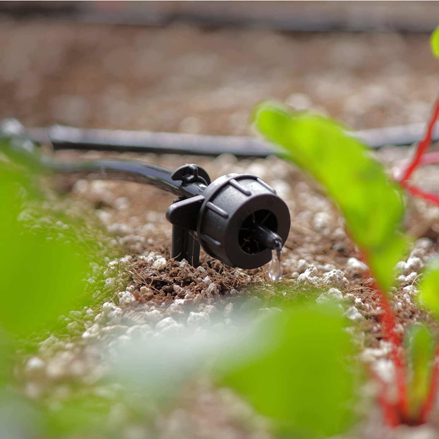 AEO Solar-Powered Automatic Drip Irrigation System Kit - 50 Drippers & 155ft Tubing for Balcony, Greenhouse, Raised Garden Beds | Water-Saving Solution for Plants, Vegetables & Flowers