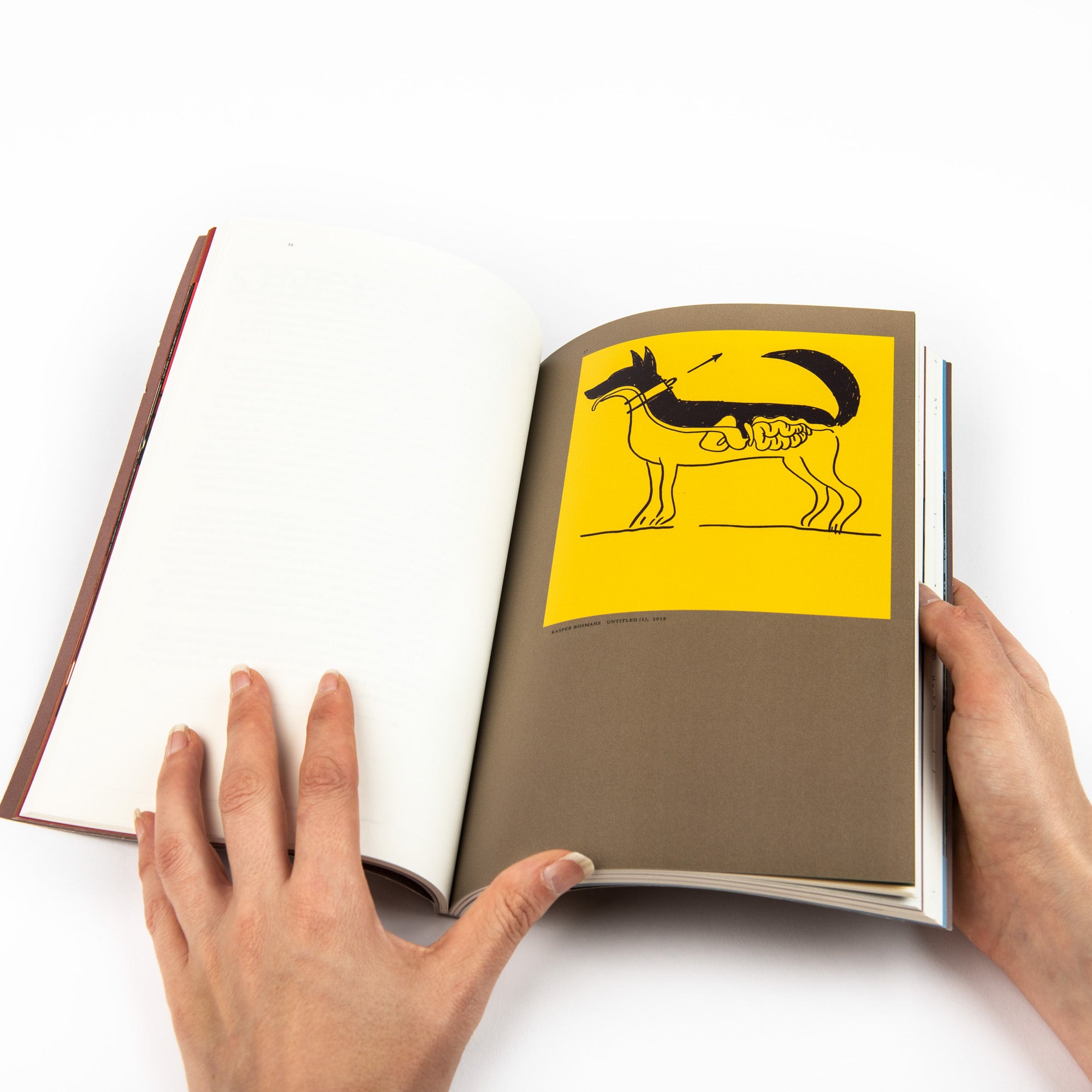 Fireflies Zine Vol 6 - Softcover Edition | Indie Art & Photography Collection | Perfect for Coffee Table Books, Creative Inspiration & Gift Ideas