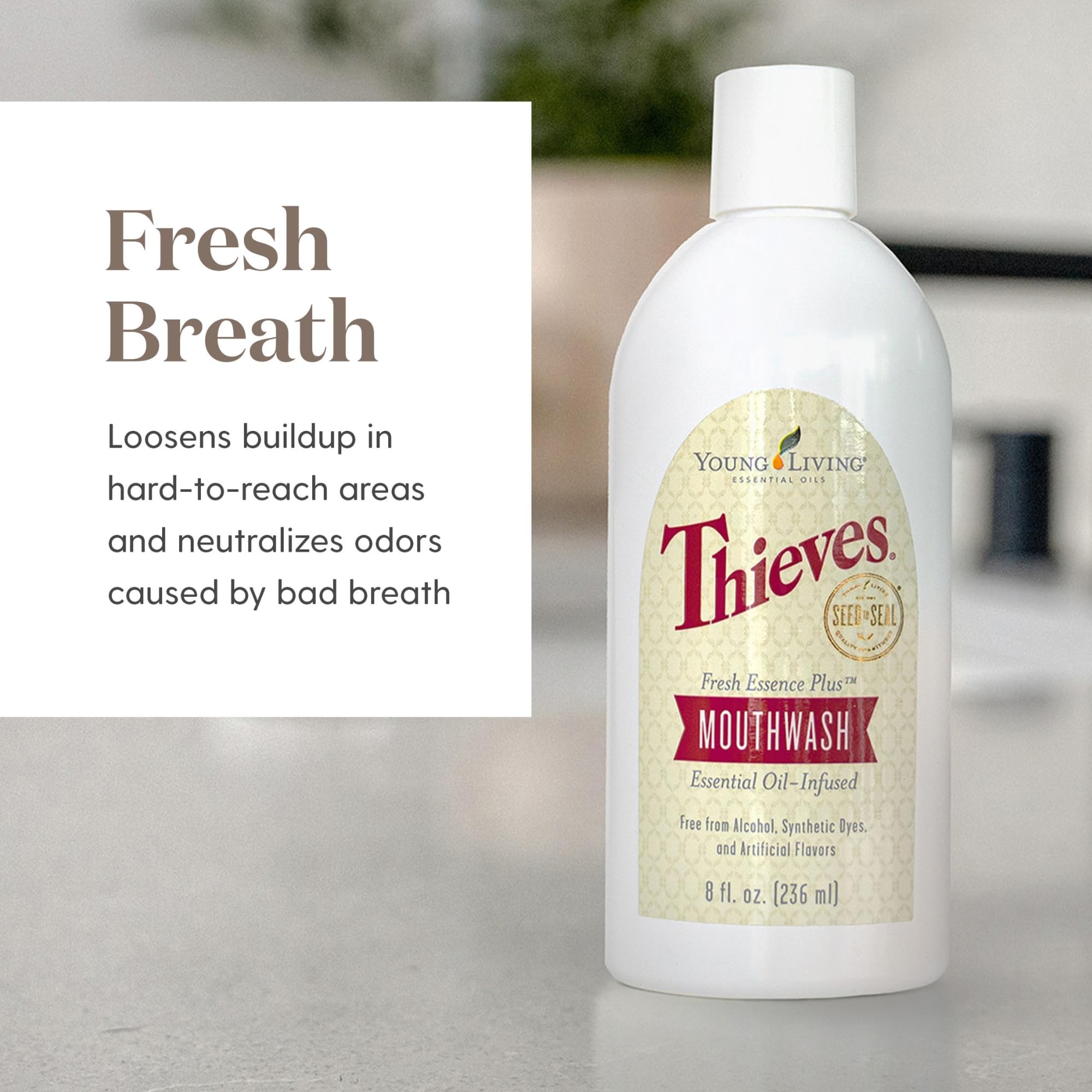 Young Living Thieves Fresh Essence Mouthwash - 8oz Alcohol-Free Dental Care for Fresh Breath, Oral Health & Gum Protection - Natural Teeth & Mouth Cleaner - Ideal for Daily Use, Travel & Post-Meal Freshness