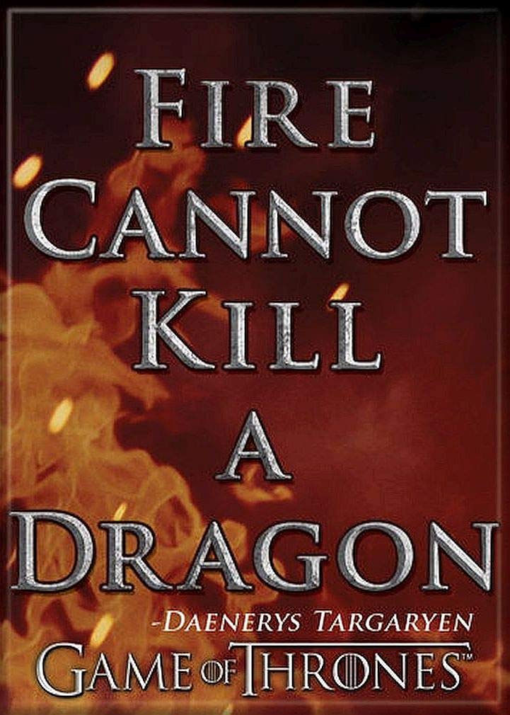 Game of Thrones Dragon Magnet 2.5x3.5