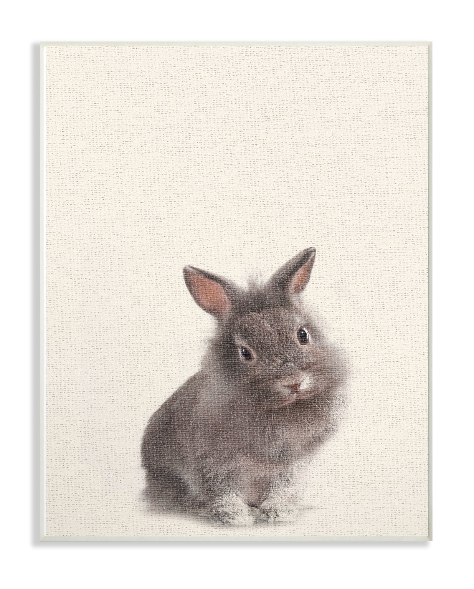 Adorable Plush Bunny Stuffed Animal Toy - Soft & Cuddly Gift for Kids, Girls, Boys - Perfect for Easter, Birthday, Nursery Decor & Snuggling