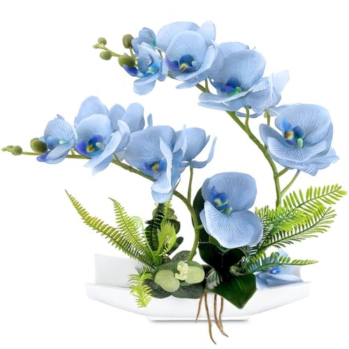 New Blue
