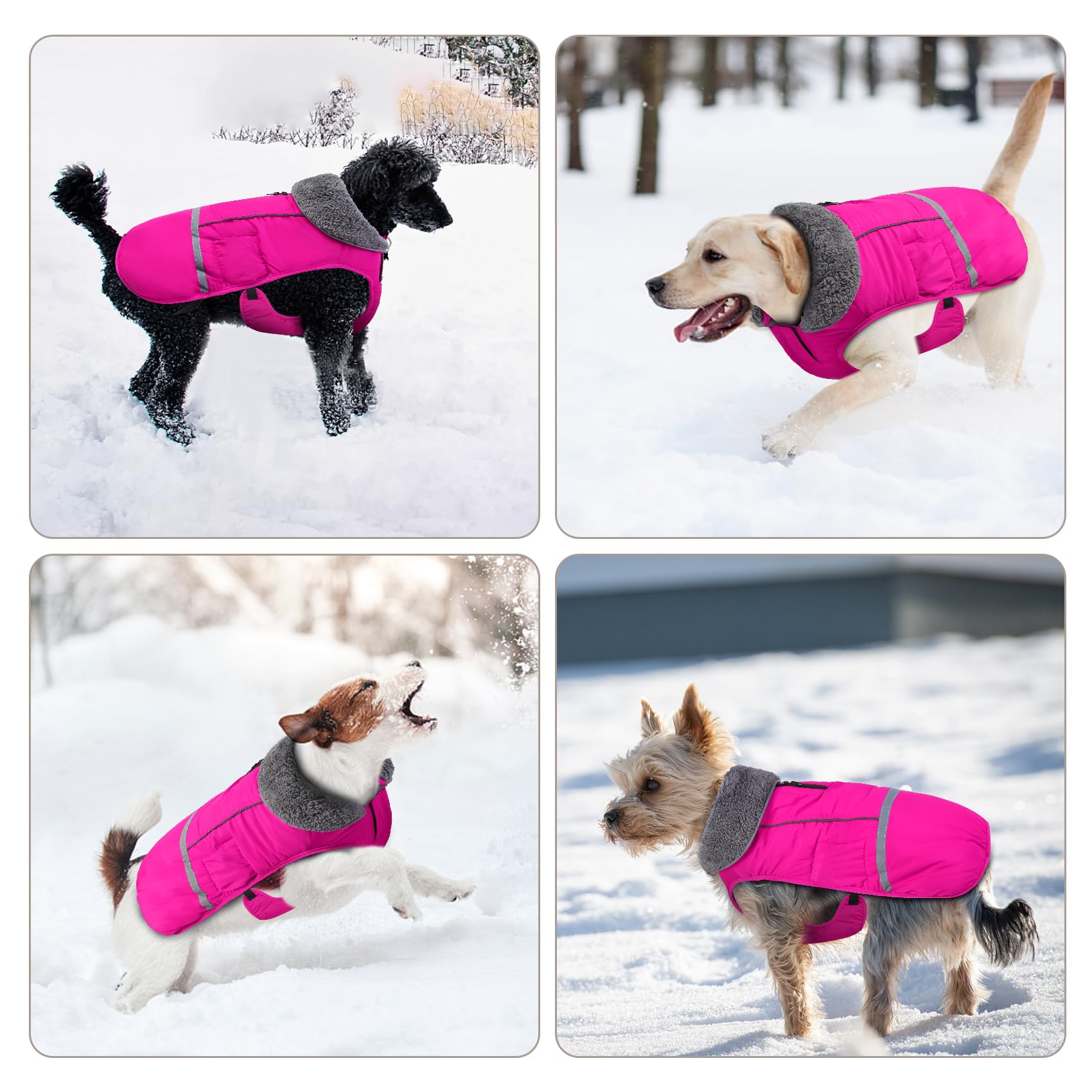 **Doglay Waterproof Dog Coat - Reflective Winter Jacket with Warm Fleece Lining & Thick Furry Collar for Small, Medium, Large Dogs - Ideal for Cold Weather, Snow & Outdoor Adventures**
