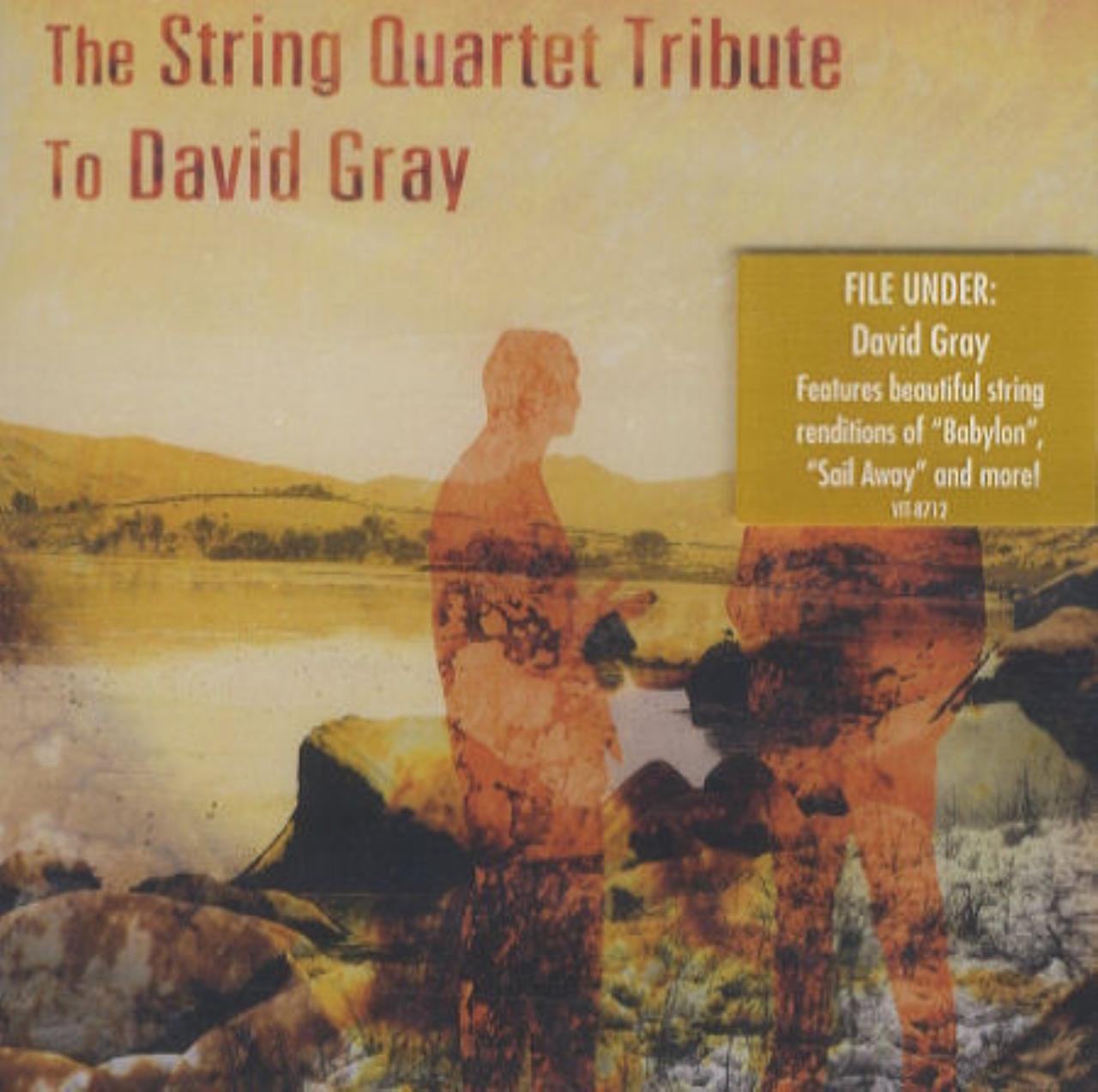 String Quartet Tribute to David Gray - Classical Music Cover Album | Perfect for Weddings, Dinner Parties & Relaxation