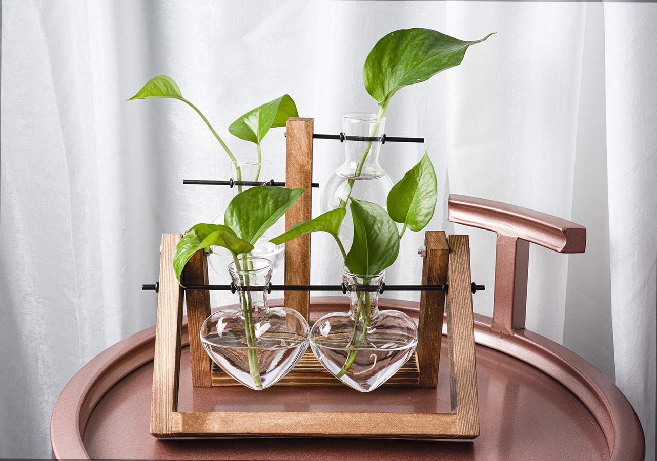 Retro Wooden Stand Glass Desktop Planter with 2 Hearts - Indoor Plant Terrarium Vase for Home, Office Desk Decor | Perfect for Succulents, Air Plants & Small Flowers