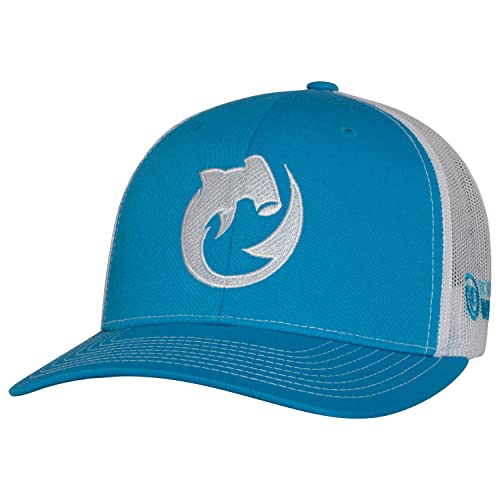 Circling Hammerhead - Cyan/White