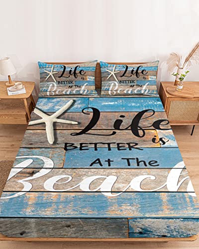 Beachzlh8695