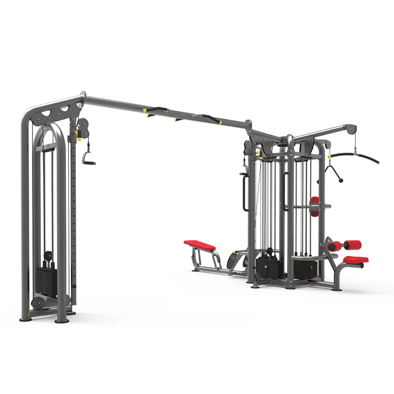 Pegasus 4S Six Station Multi Jungle Gym - Outdoor Kids Playground Equipment for Backyard, Park & School - Perfect for Climbing, Swinging & Active Play