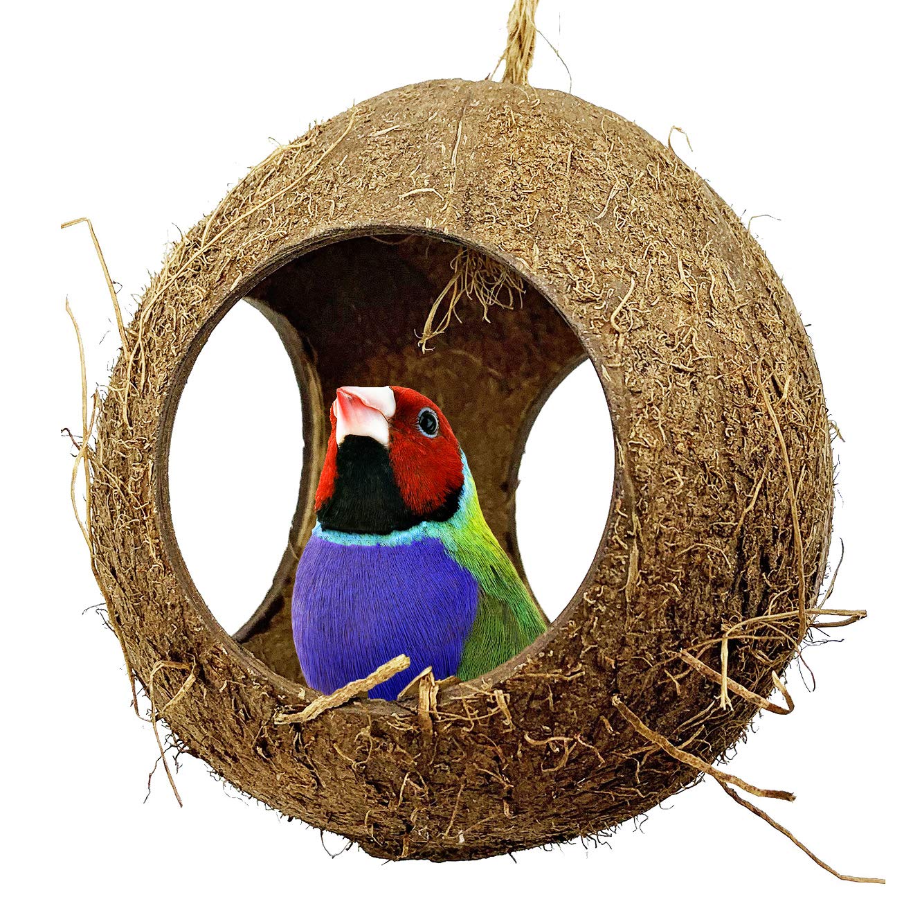 Bonka Bird Toys 2114 Three Hole Coconut Hut Nest for Parrots - Cozy Sleeping & Playing Hideout for Small Birds Like Cockatiels, Lovebirds, and Parakeets