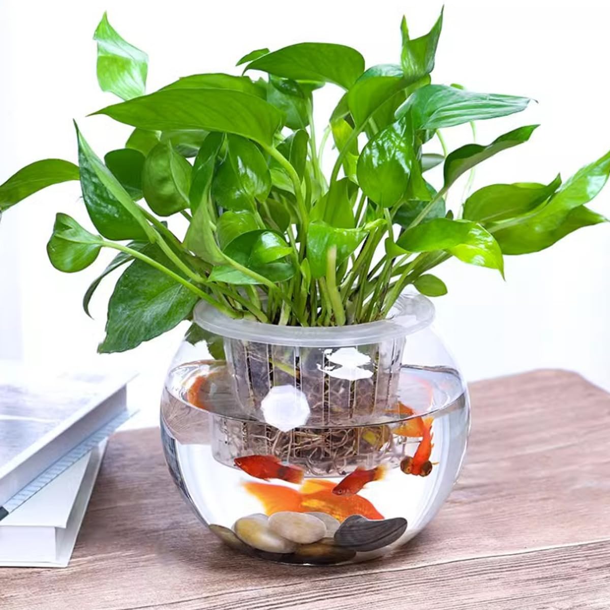 6 Pack Clear Glass Bubble Bowl Vase - 4.7
