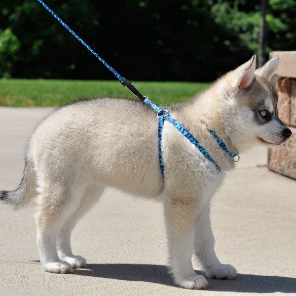 Li'l Pals Adjustable Comfort Wrap Dog Harness - Soft Breathable Pet Vest for Small to Medium Dogs - Perfect for Walking, Training & Outdoor Adventures