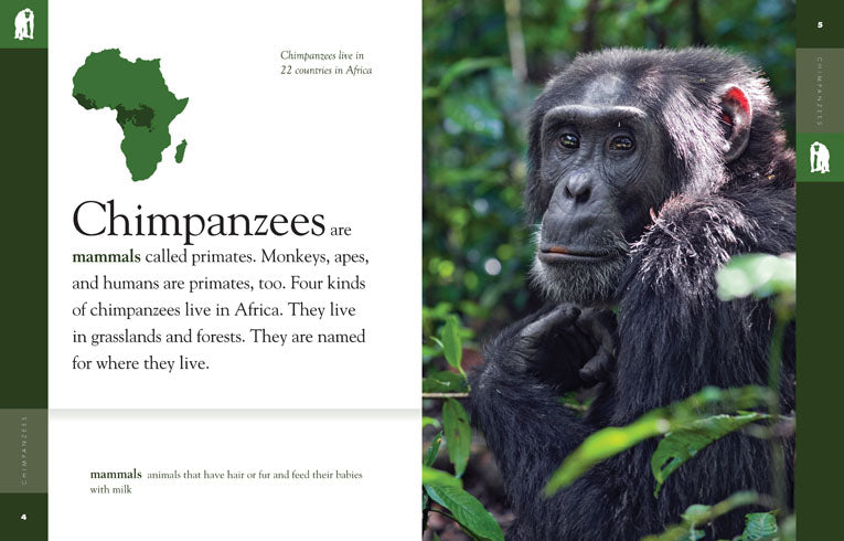 Amazing Animals (2014): Chimpanzees Documentary - Wildlife Film for Nature Lovers & Educational Use in Classrooms