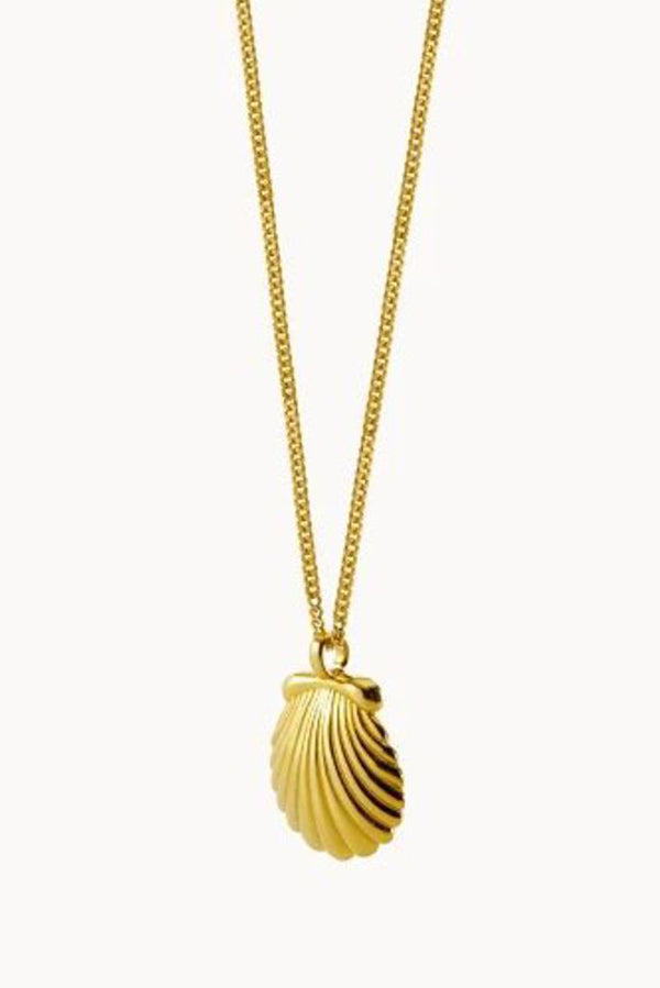 Stylish Summer Beach Shell and Conch Necklace for Women - Perfect for Vacation, Seaside Outings & Boho Fashion Accessories