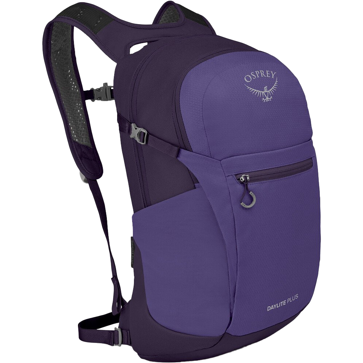 Dream Purple