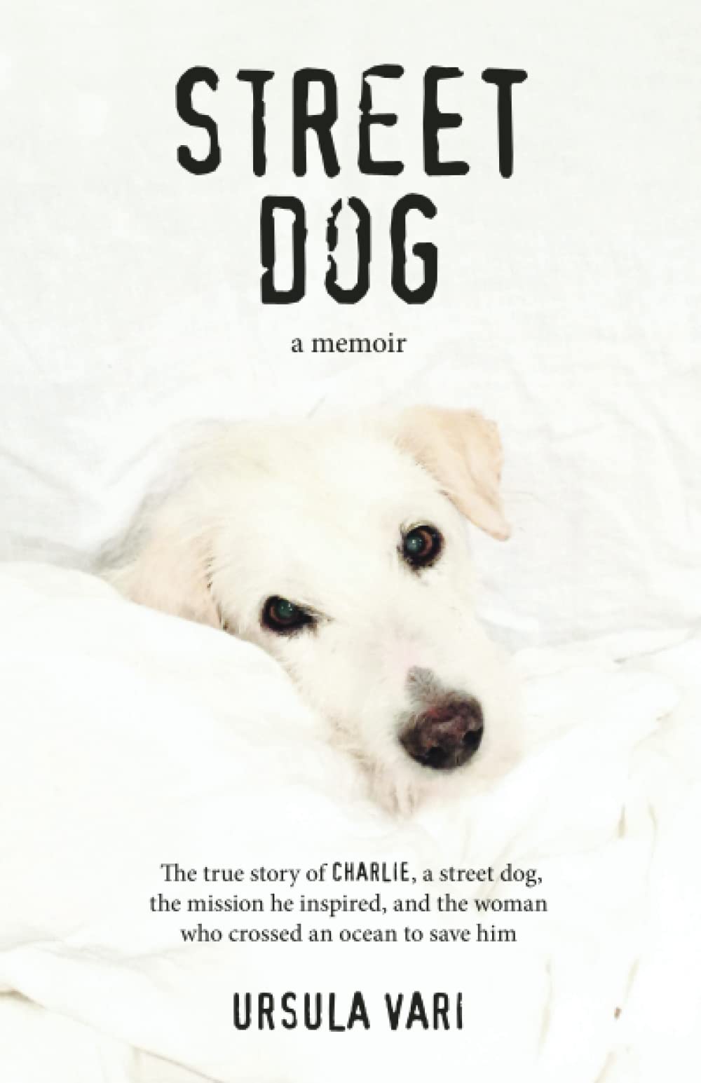 Street Dog: A Memoir - Inspiring True Story of Survival and Friendship | Perfect for Dog Lovers & Memoir Readers